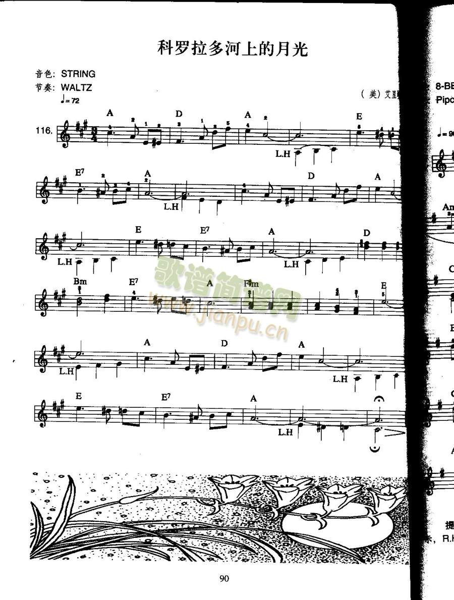 ���_������ϵ��¹�(������V)1