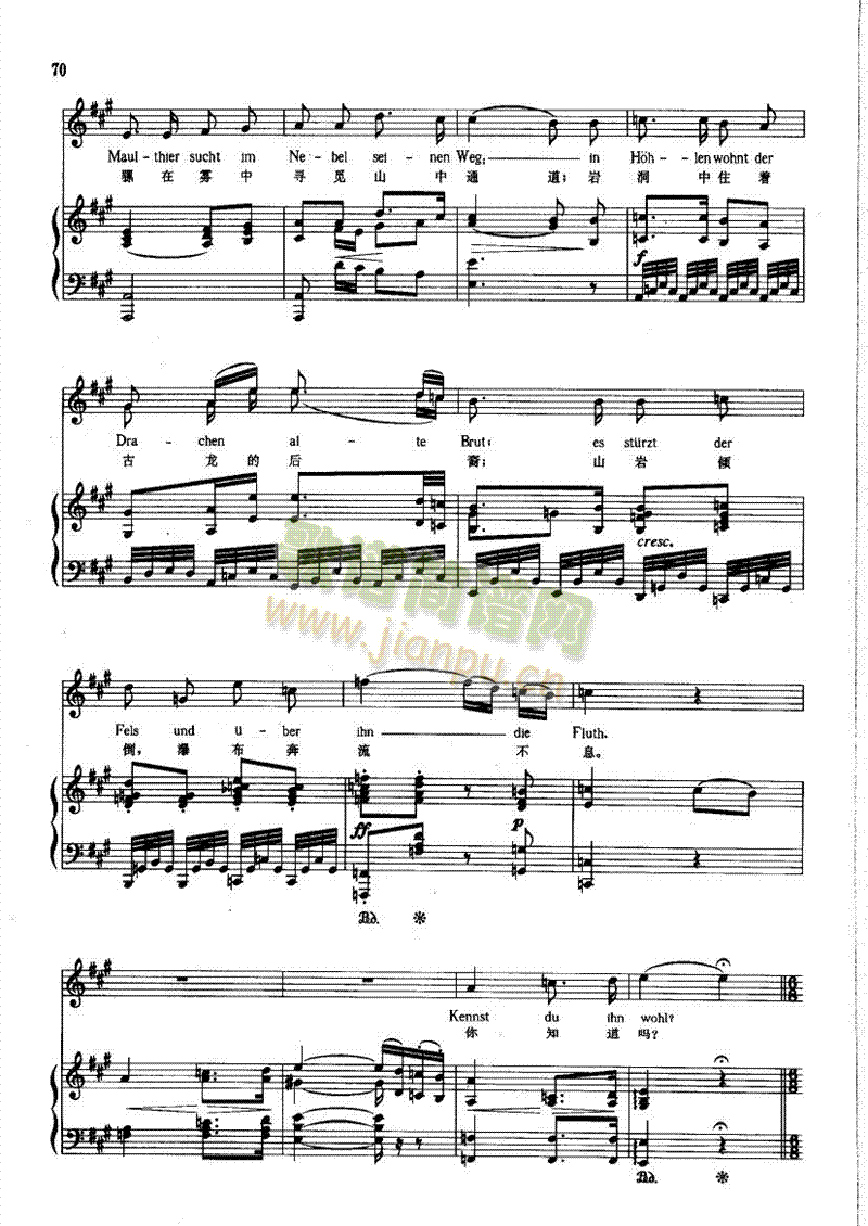 ����֮������(l��i)��ٰ����V(������(l�� )�V)5