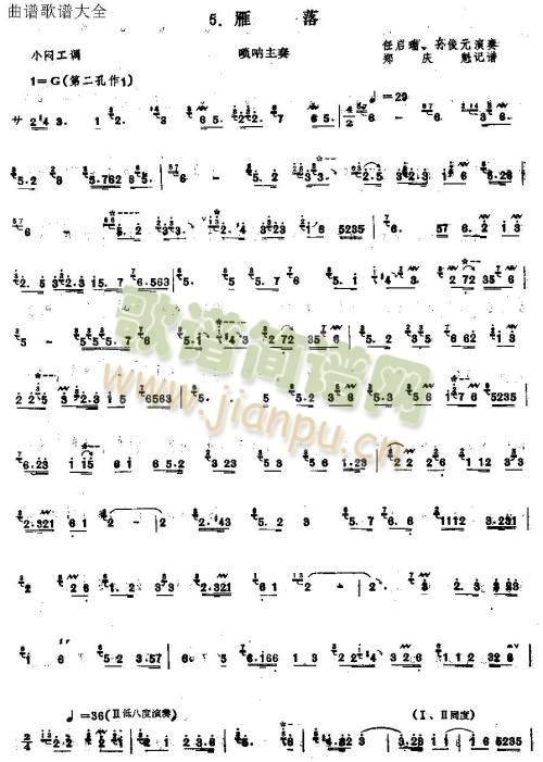 ����(����V)1