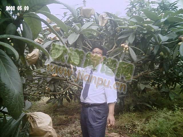 �ҵ���Ƭ(���ָ��V)3