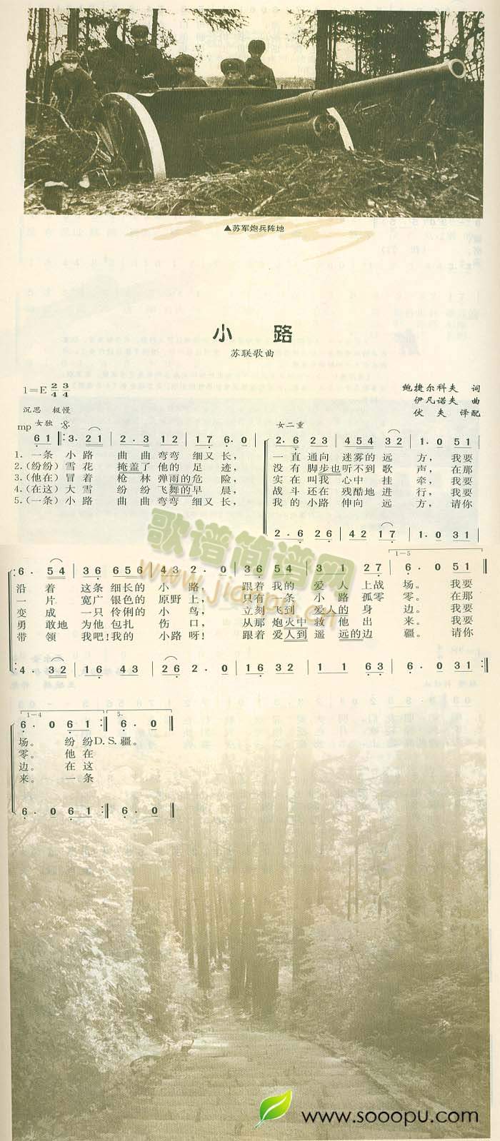 ��·(���ָ��V)1