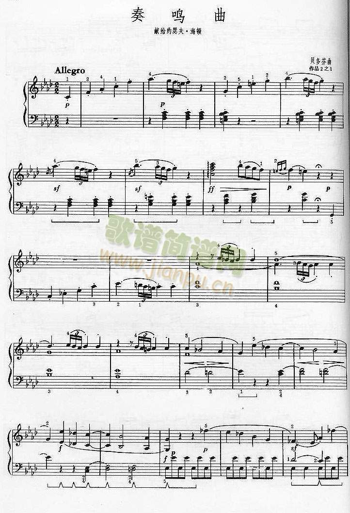 ���Q��(����V)1