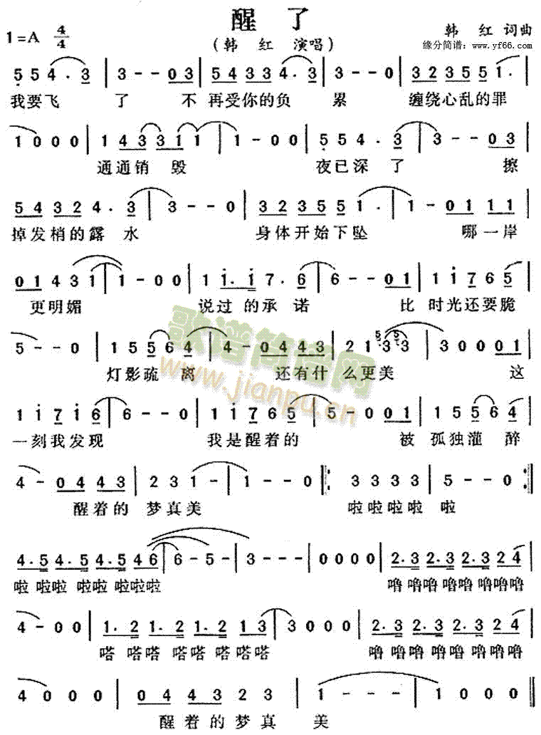 ����(���ָ��V)1