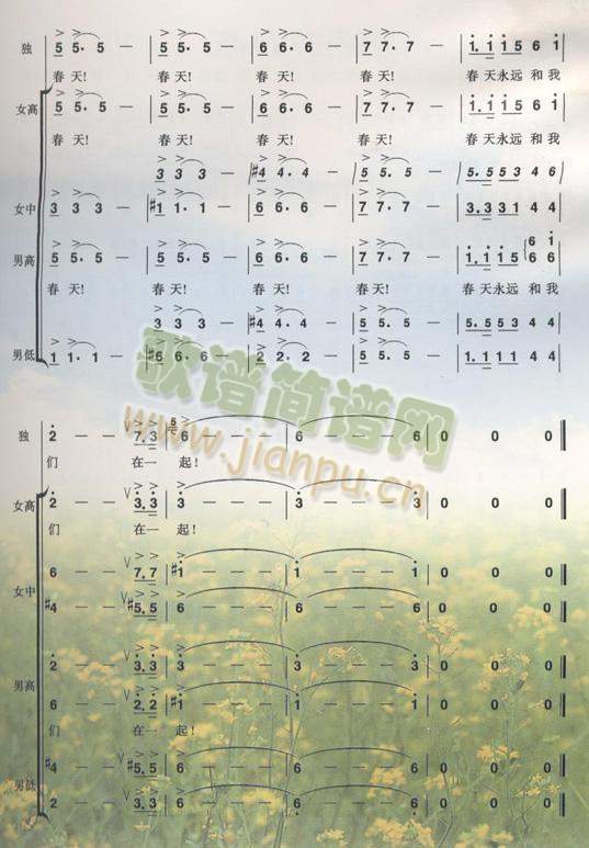 ����ף��(���ָ��V)3