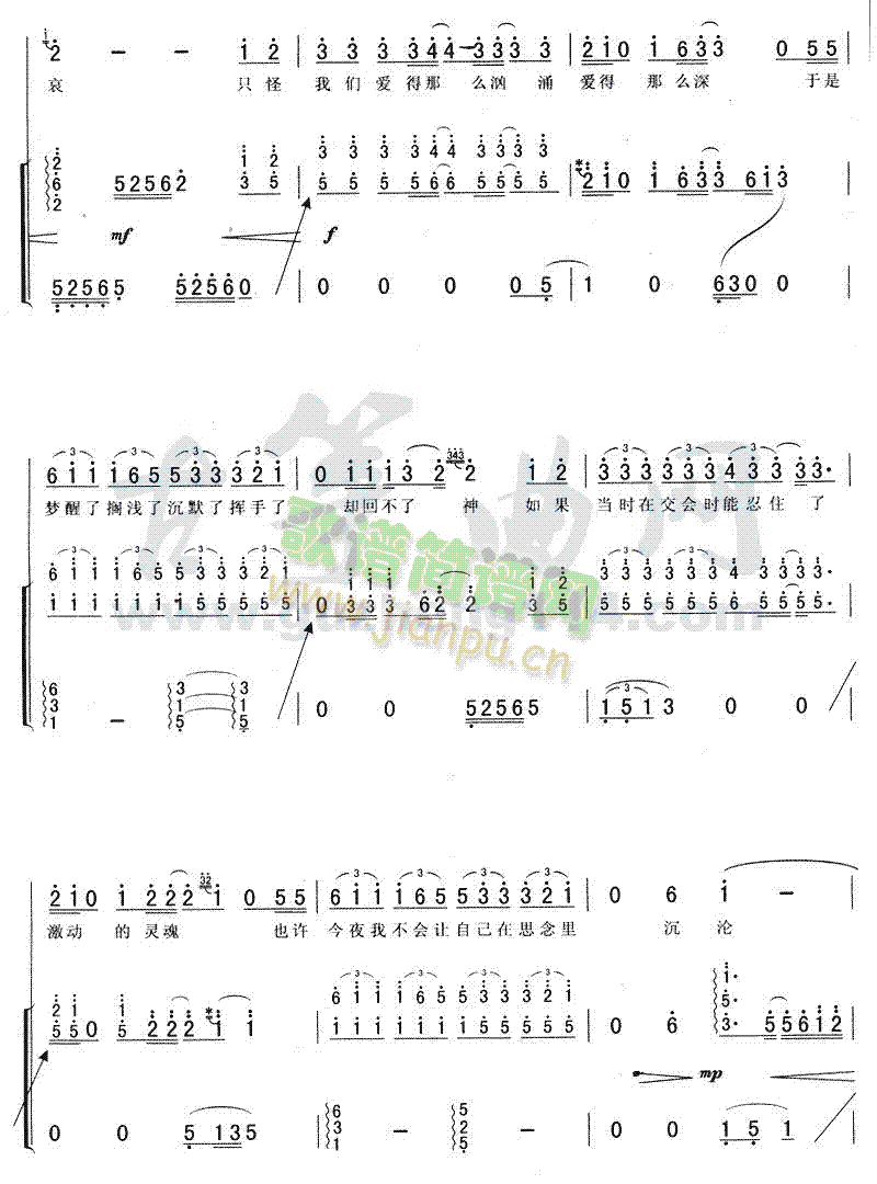 ����Ϥ��İ����(�Ź~�P���V)5