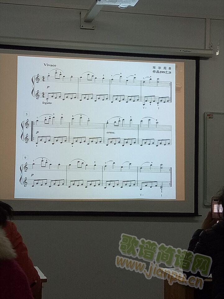 599֮25(���ָ��V)1