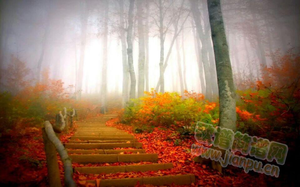 ��������(���ָ��V)3