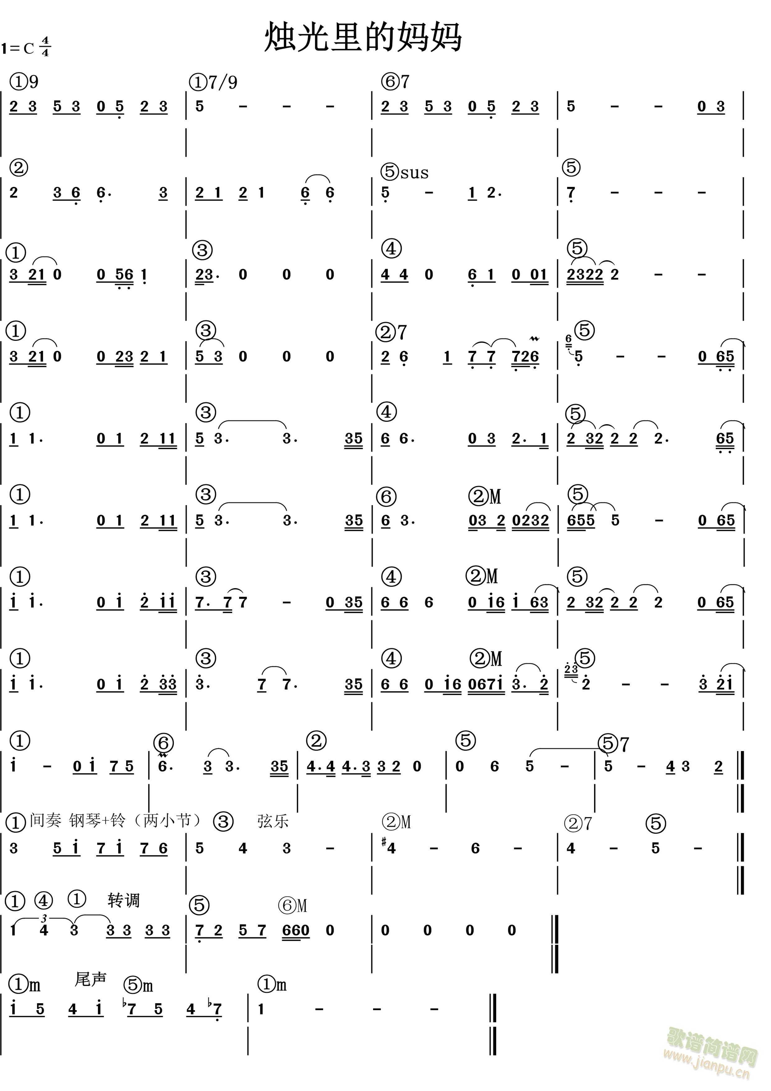 �T����ċ���(�����V)1