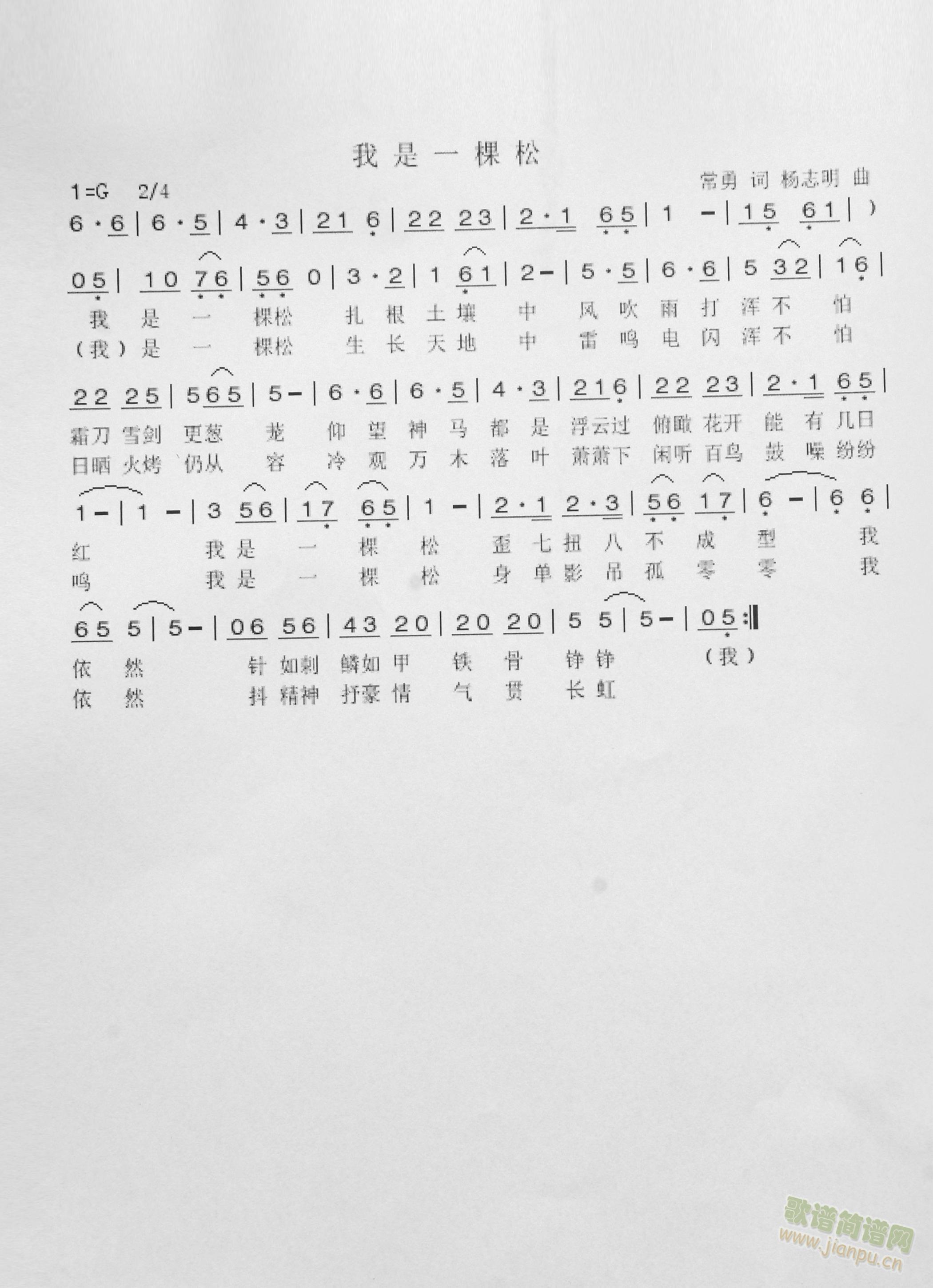 ����һ����(���ָ��V)1