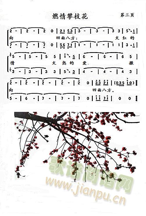 ȼ����֦��(���ָ��V)3