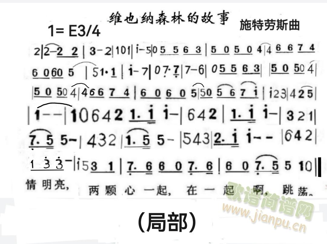 �SҲ�{ɭ�Ĺ���(�Ѻ��V)1