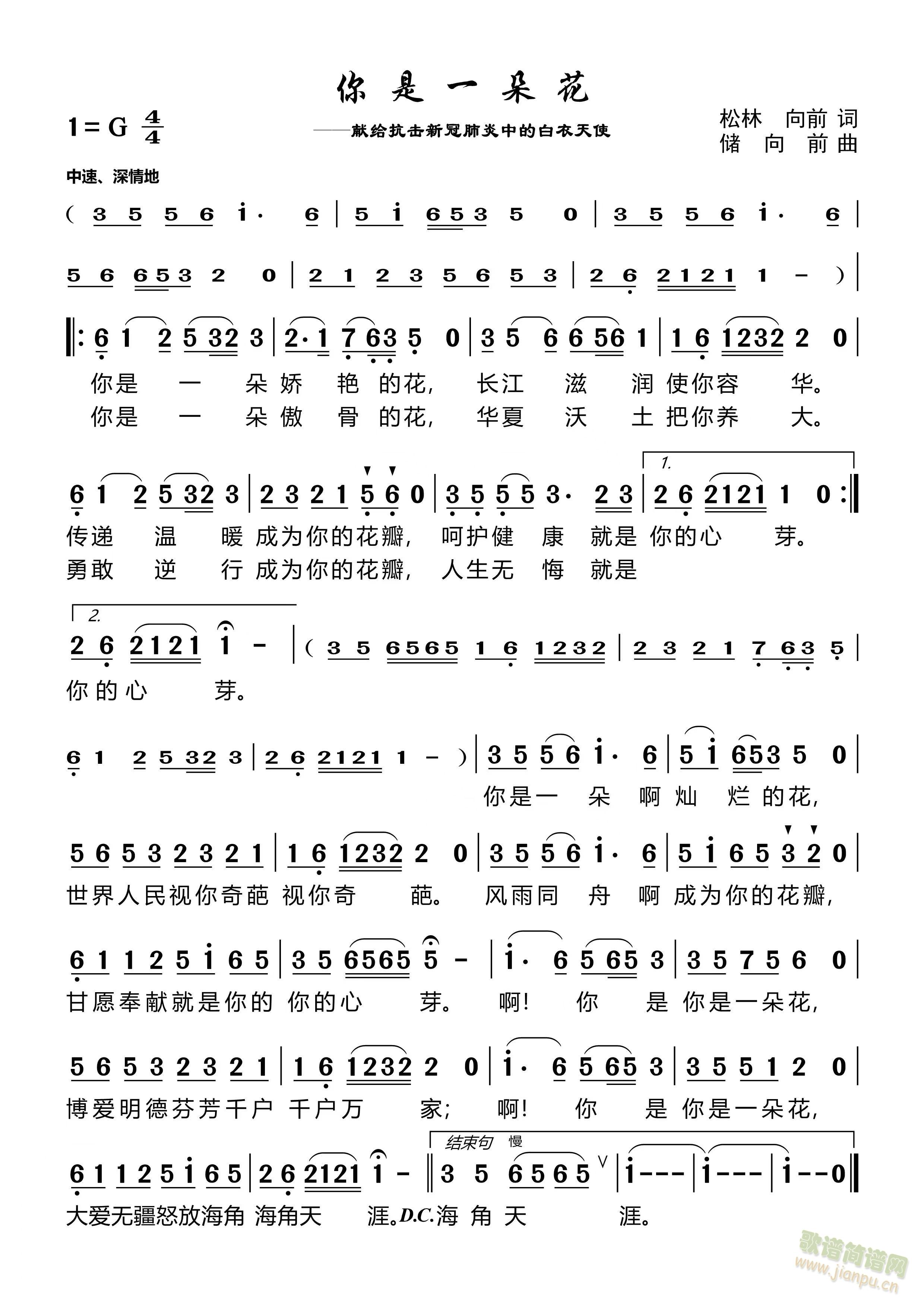 ����һ�仨(���ָ��V)1